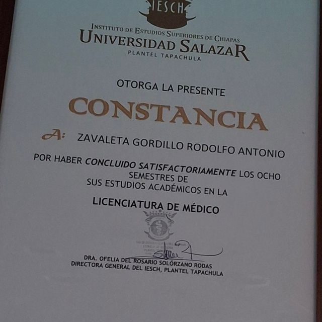 Ampliar imagen: certificate 13