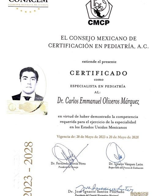 Ampliar imagen: certificate 4