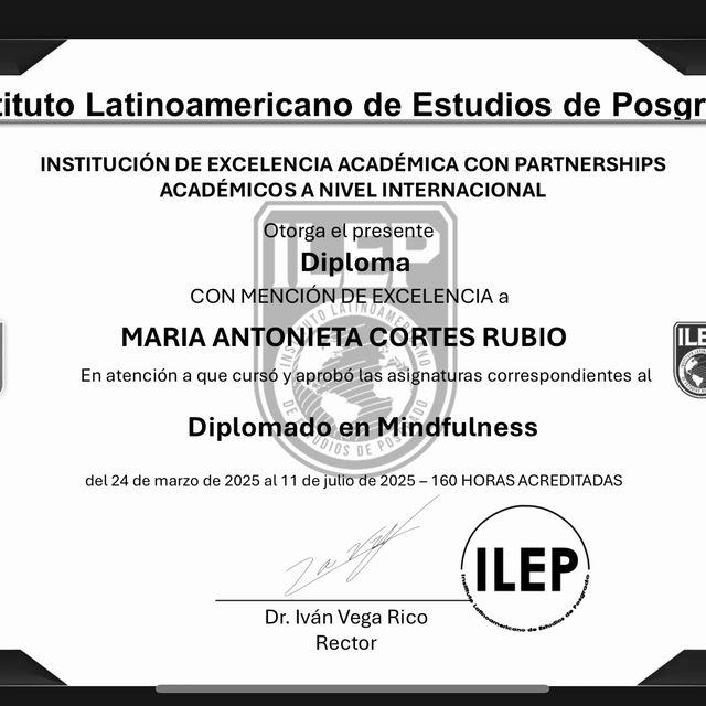 Ampliar imagen: certificate 10