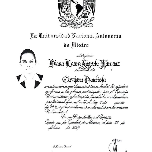 Ampliar imagen: certificate 1