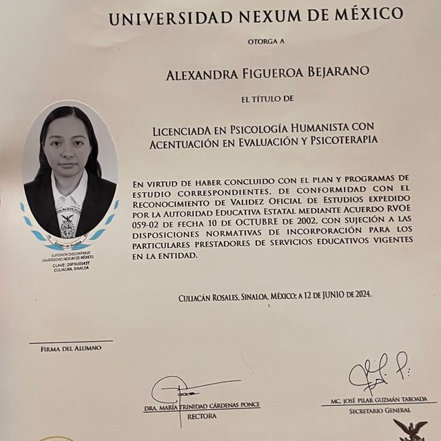 Ampliar imagen: certificate 1