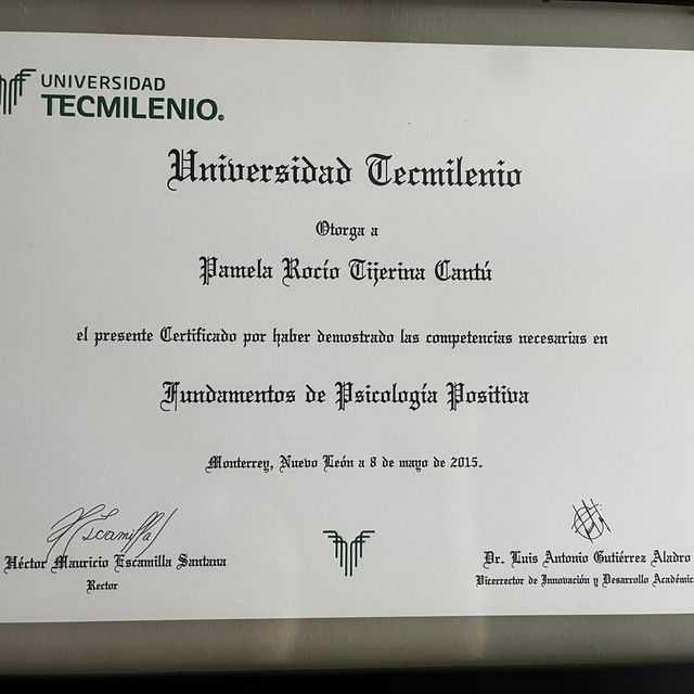 Ampliar imagen: certificate 3