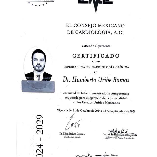 Ampliar imagen: certificate 1