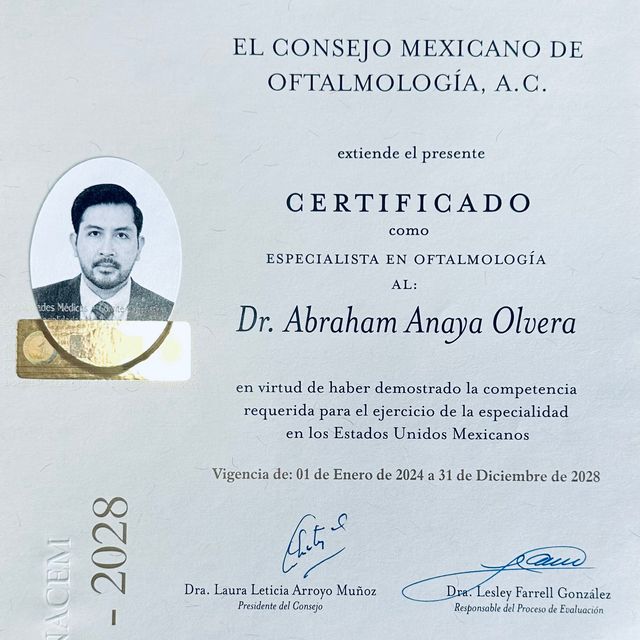 Ampliar imagen: certificate 1