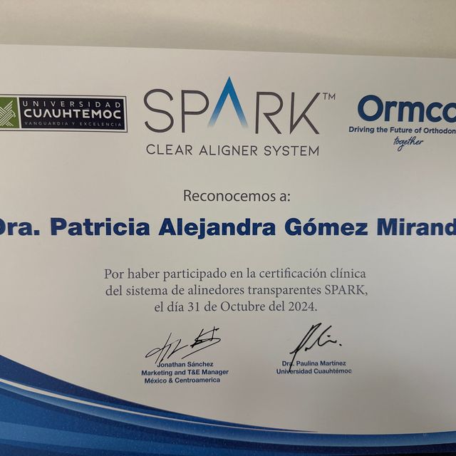 Ampliar imagen: certificate 1