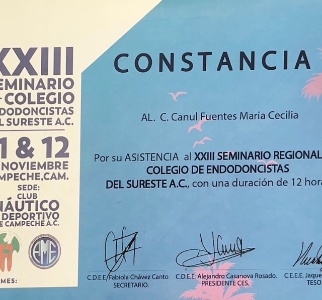 Ampliar imagen: certificate 9