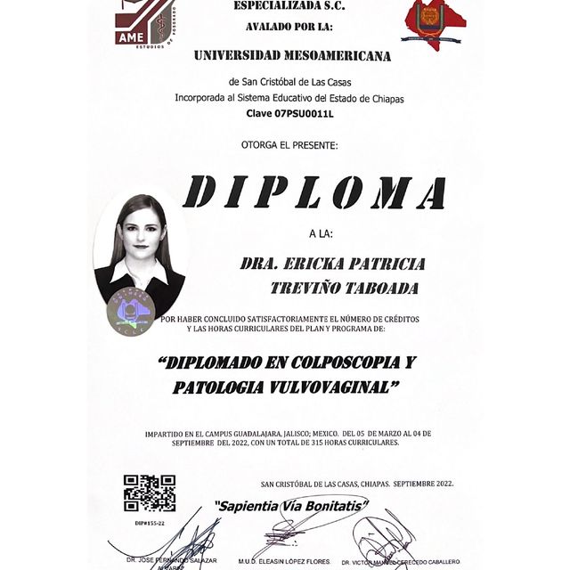 Ampliar imagen: certificate 7