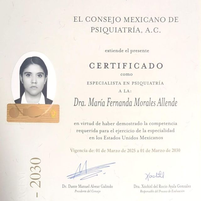 Ampliar imagen: certificate 1