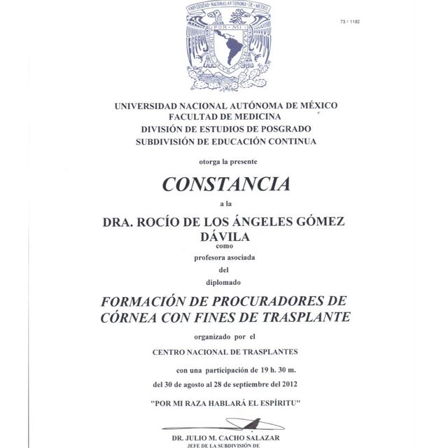 Ampliar imagen: certificate 8