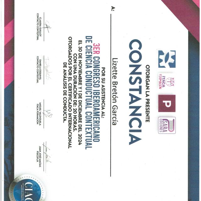 Ampliar imagen: certificate 29