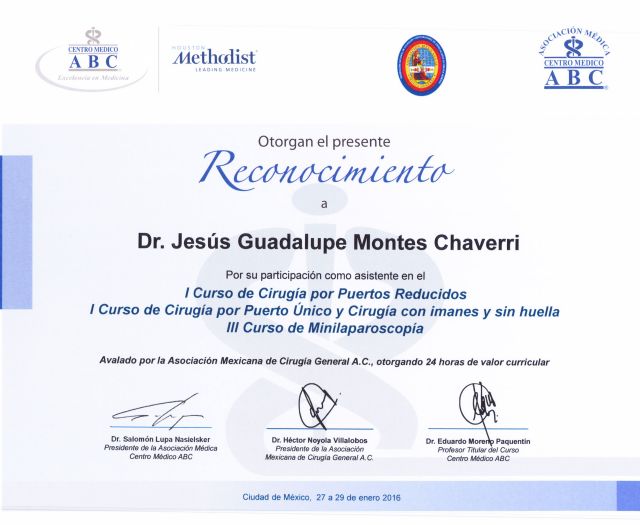 Ampliar imagen: certificate 5