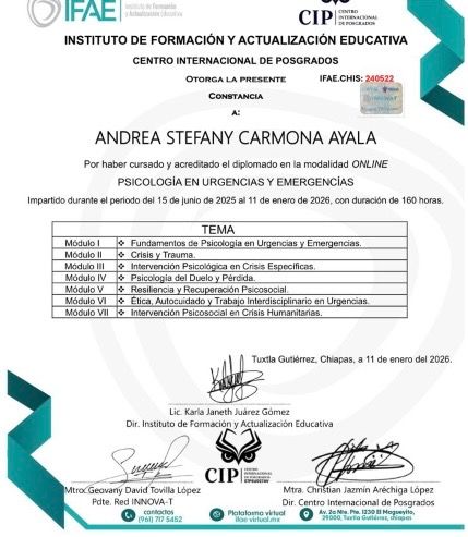 Ampliar imagen: certificate 1