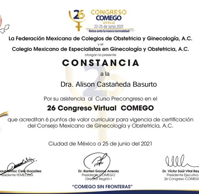 Ampliar imagen: certificate 2