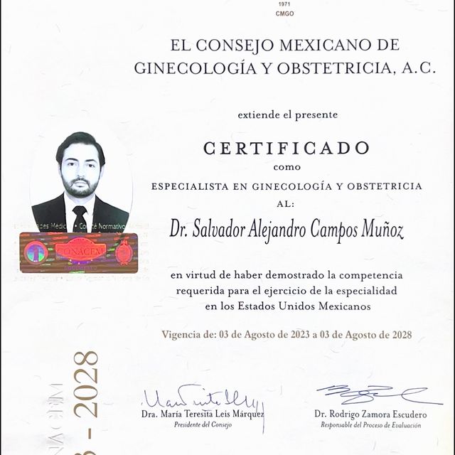 Ampliar imagen: certificate 1