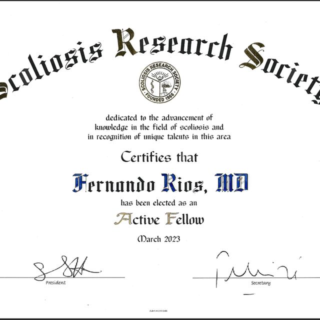Ampliar imagen: certificate 4