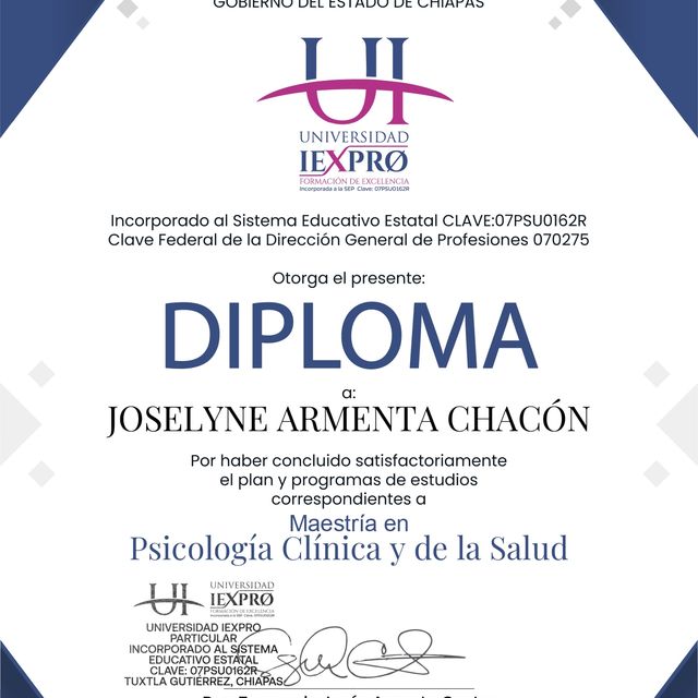 Ampliar imagen: certificate 4