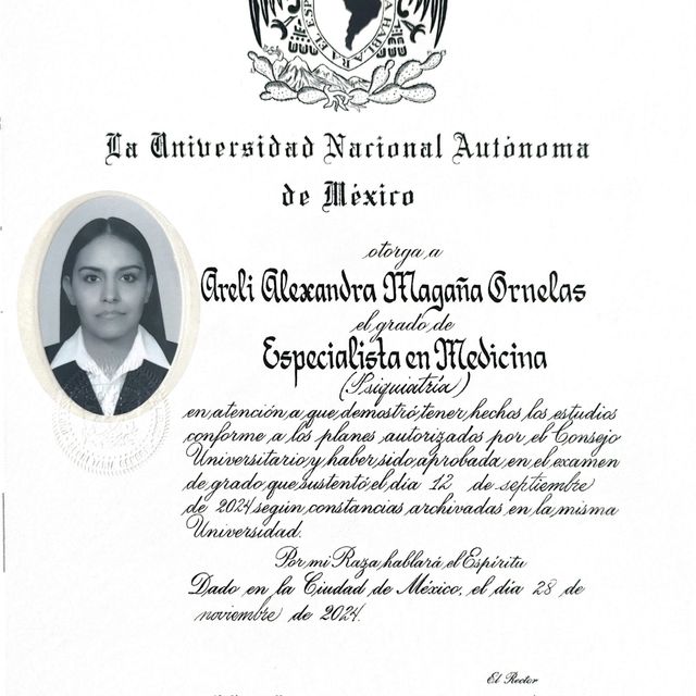 Ampliar imagen: certificate 2