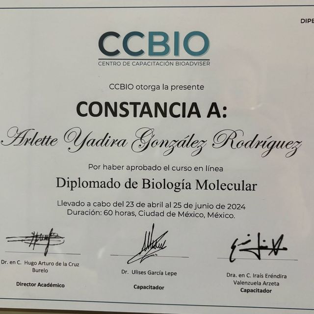 Ampliar imagen: certificate 2