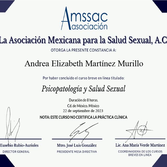 Ampliar imagen: certificate 8