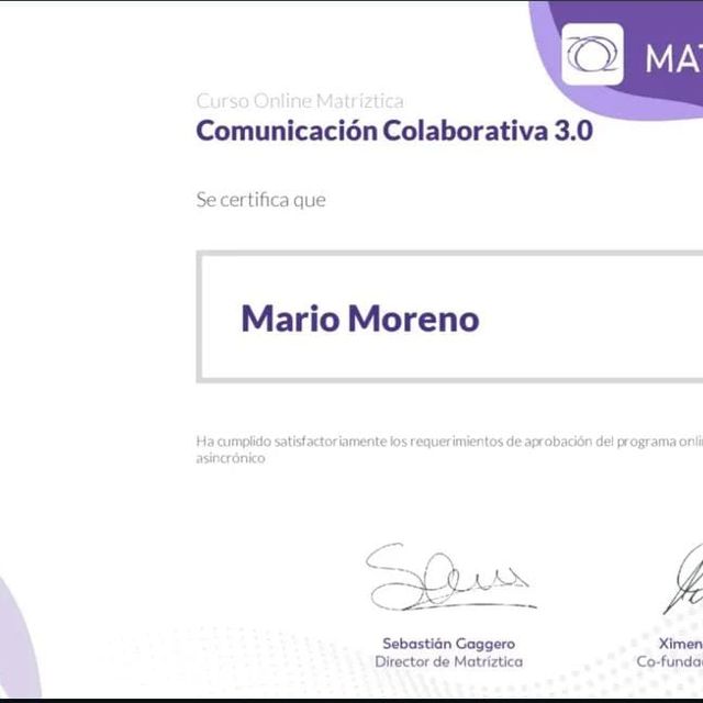 Ampliar imagen: certificate 8