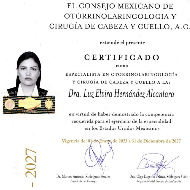 Ampliar imagen: certificate 4