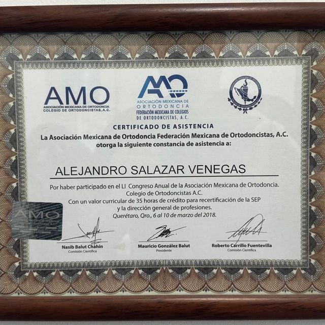 Ampliar imagen: certificate 7