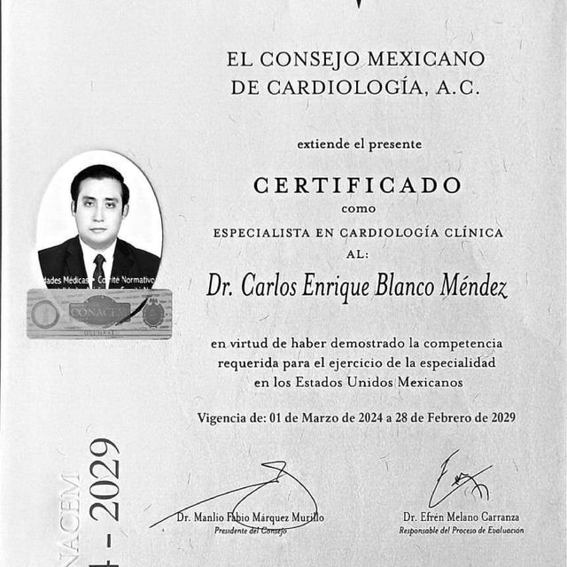 Ampliar imagen: certificate 1