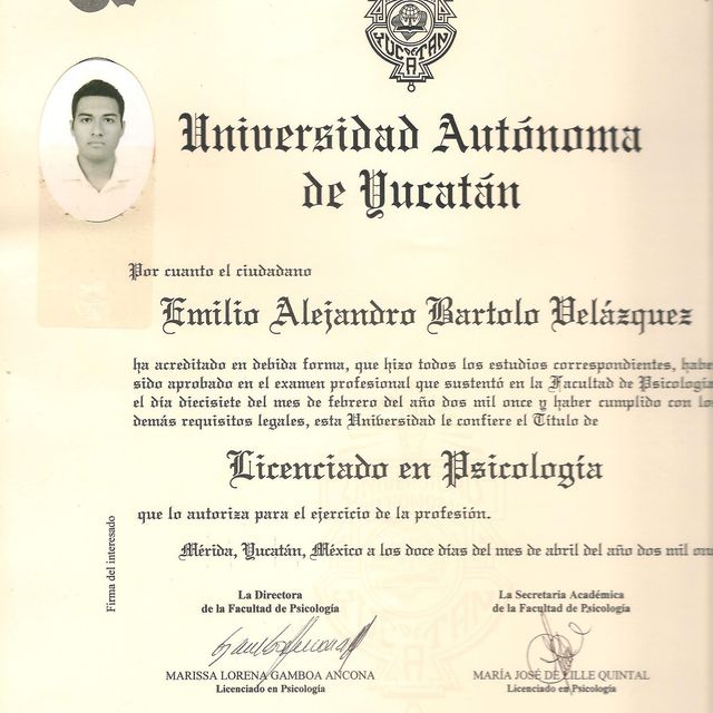 Ampliar imagen: certificate 1