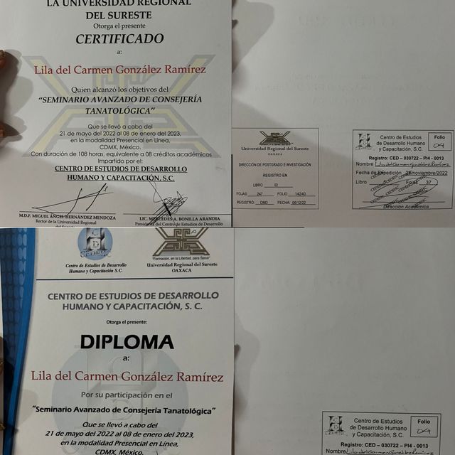 Ampliar imagen: certificate 8