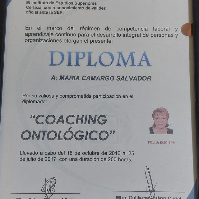 Ampliar imagen: certificate 10