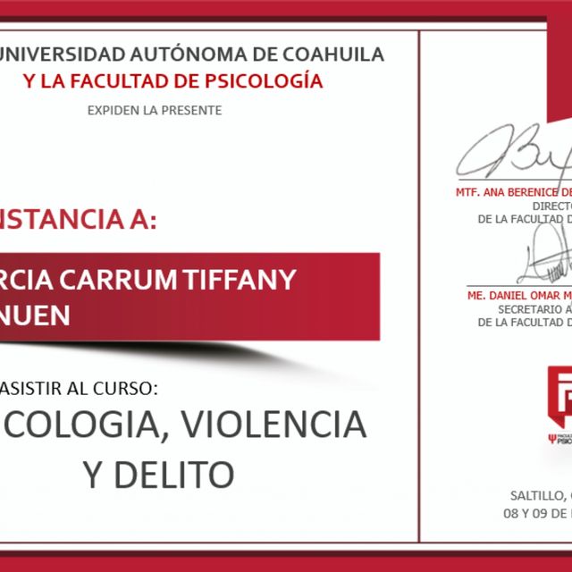 Ampliar imagen: certificate 3
