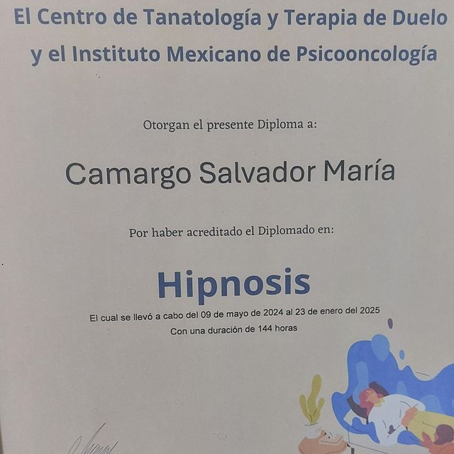 Ampliar imagen: certificate 22