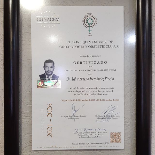 Ampliar imagen: certificate 2