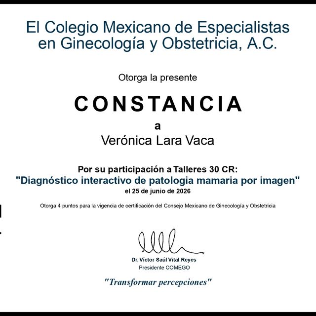 Ampliar imagen: certificate 44