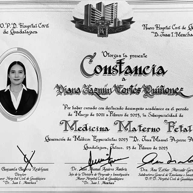 Ampliar imagen: certificate 3