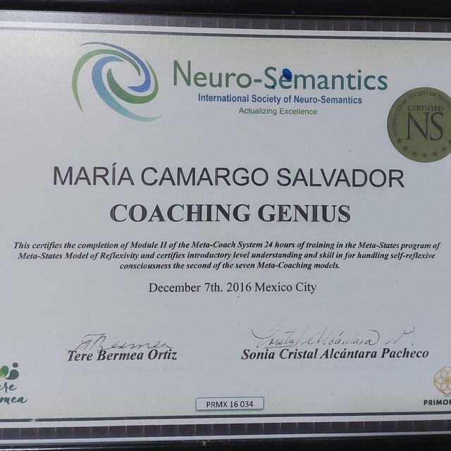 Ampliar imagen: certificate 4