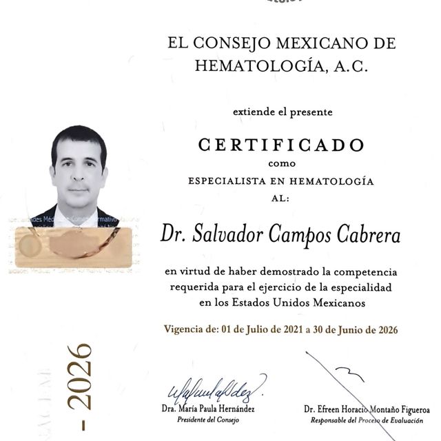 Ampliar imagen: certificate 1