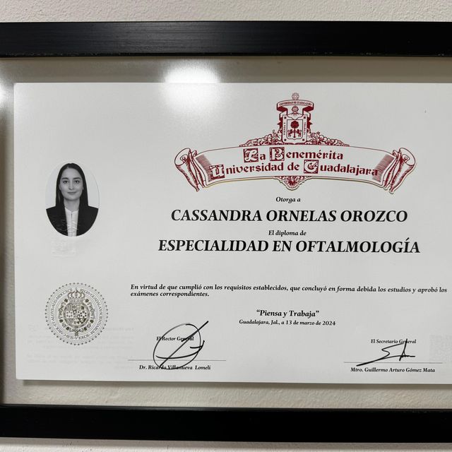 Ampliar imagen: certificate 3