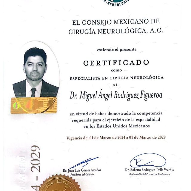 Ampliar imagen: certificate 5
