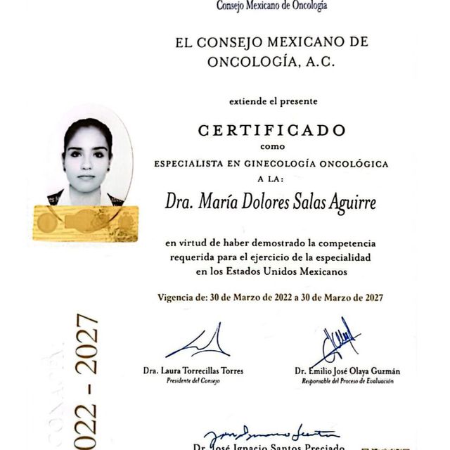 Ampliar imagen: certificate 1