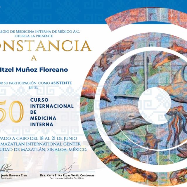 Ampliar imagen: certificate 1