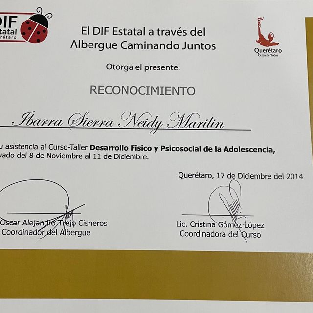 Ampliar imagen: certificate 17