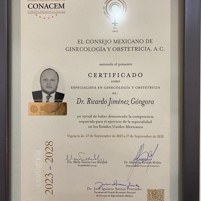 Ampliar imagen: certificate 1