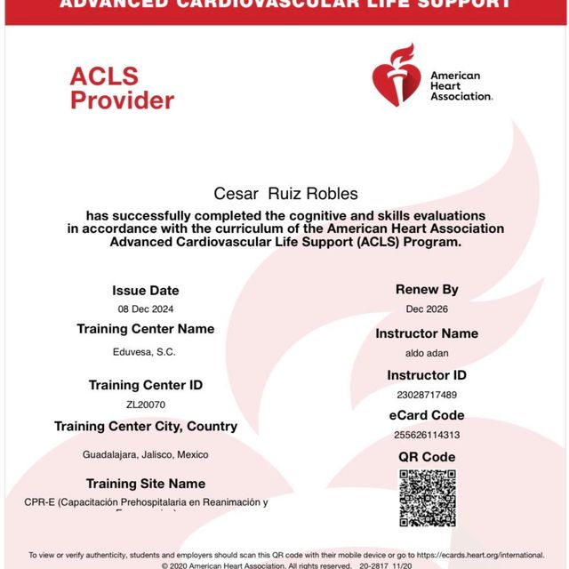 Ampliar imagen: certificate 4
