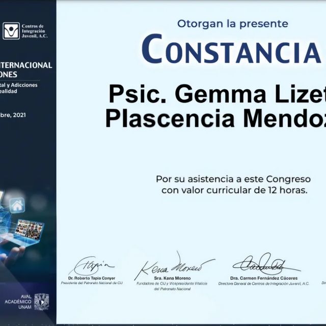 Ampliar imagen: certificate 3