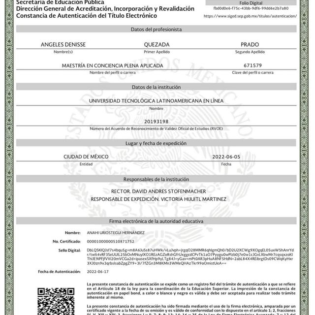 Ampliar imagen: certificate 23
