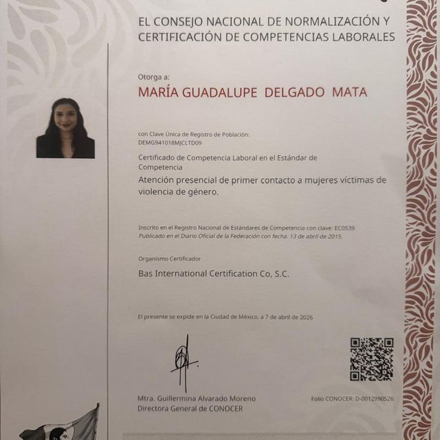 Ampliar imagen: certificate 1