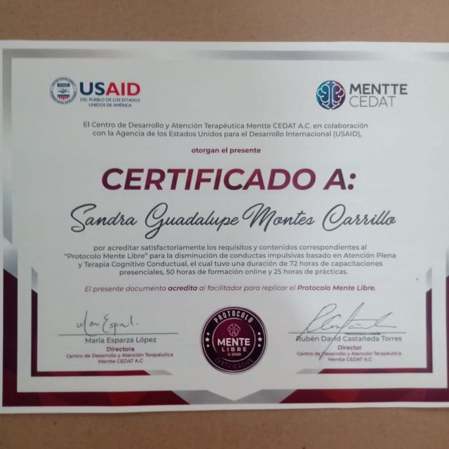 Ampliar imagen: certificate 7