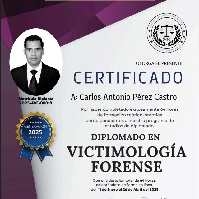 Ampliar imagen: certificate 5
