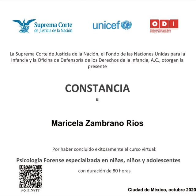 Ampliar imagen: certificate 14